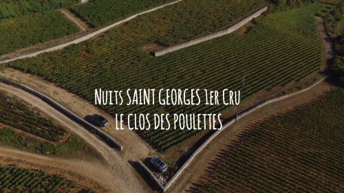 Nuits Saint Georges 1er Cru "Clos des Poulettes"