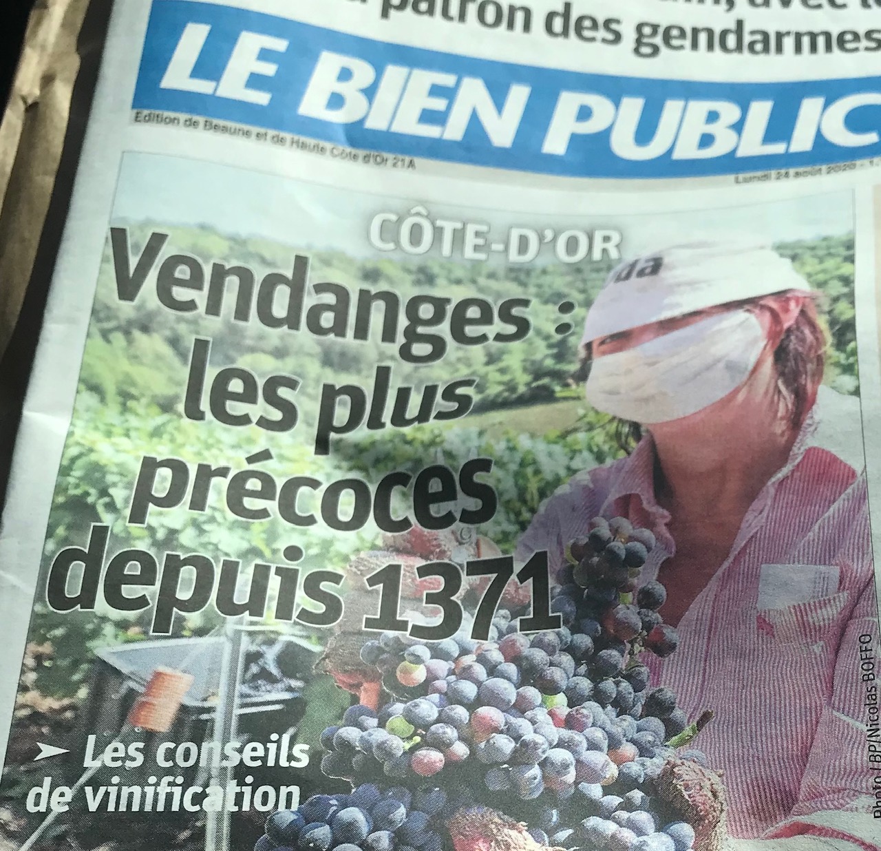 vendanges2020