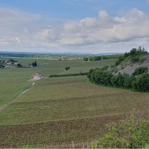 Côte de Nuits Village "Vierville"