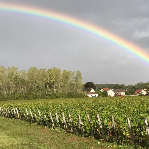 Côteaux Bourguignons