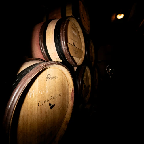 Primeurs Bourgogne