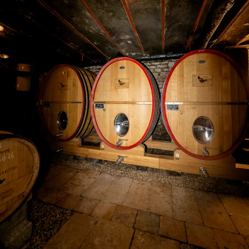 Primeurs Bourgogne
