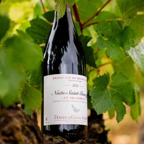 Nuits Saint Georges "Les Vallerots"
