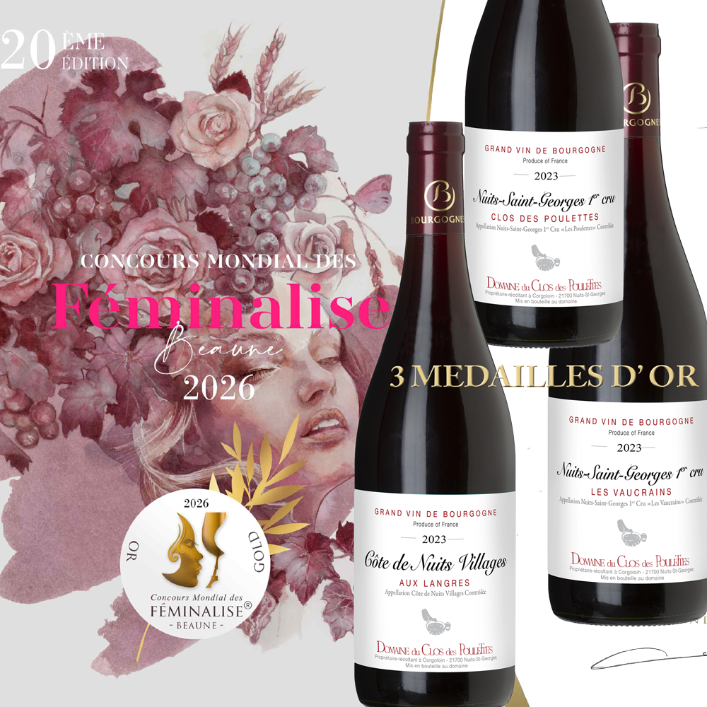 Féminalise d'Or 2026 : 3 vins de Bourgogne médaillés